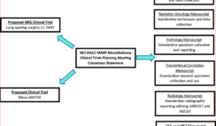 Mesothelioma Applied Research Foundation